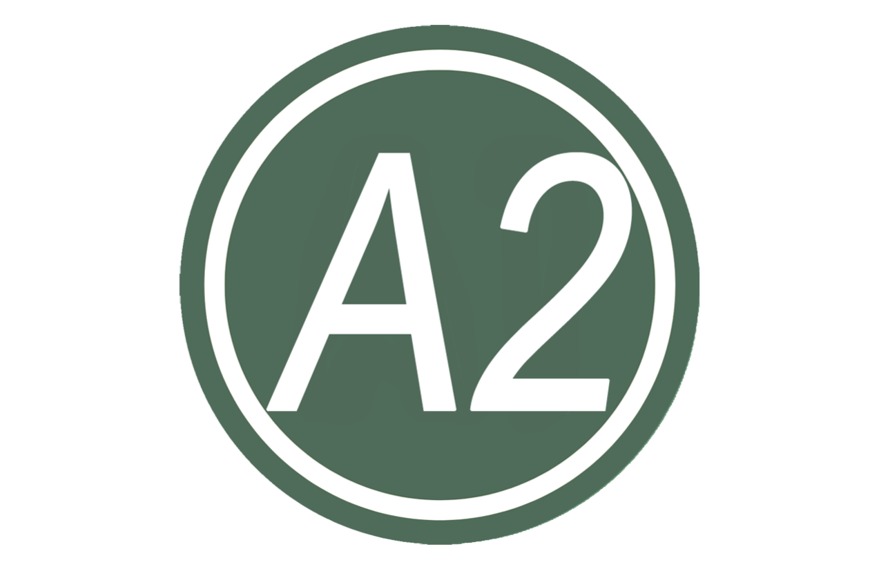 A2