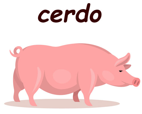 cerdo