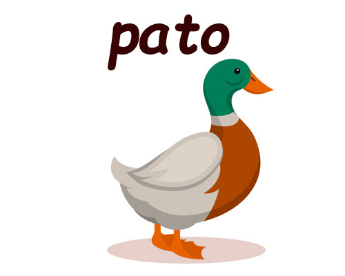 pato
