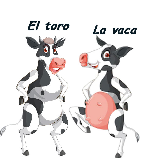 el toro la vaca 